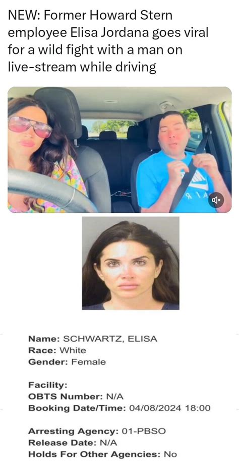 elisa jordana schwartz|elisa jordana car incident.